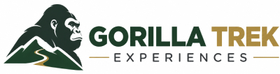 Gorilla Trek Experiences